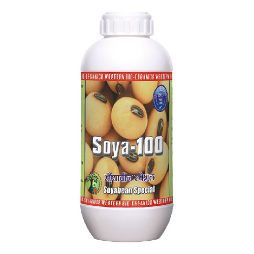 Soya 100